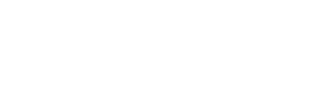 Collaborator 4