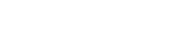 Collaborator 4