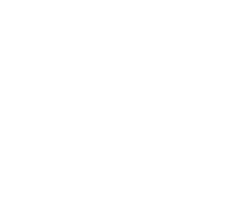 Collaborator 8