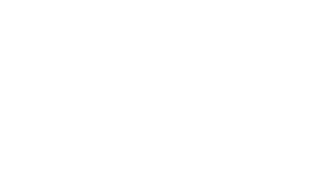 Collaborator 8